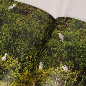 Tomas Bannerhed & Brutus Östling I starens tid ~ Inbunden bok