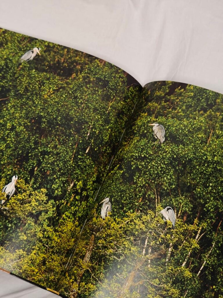 Tomas Bannerhed & Brutus Östling I starens tid ~ Inbunden bok